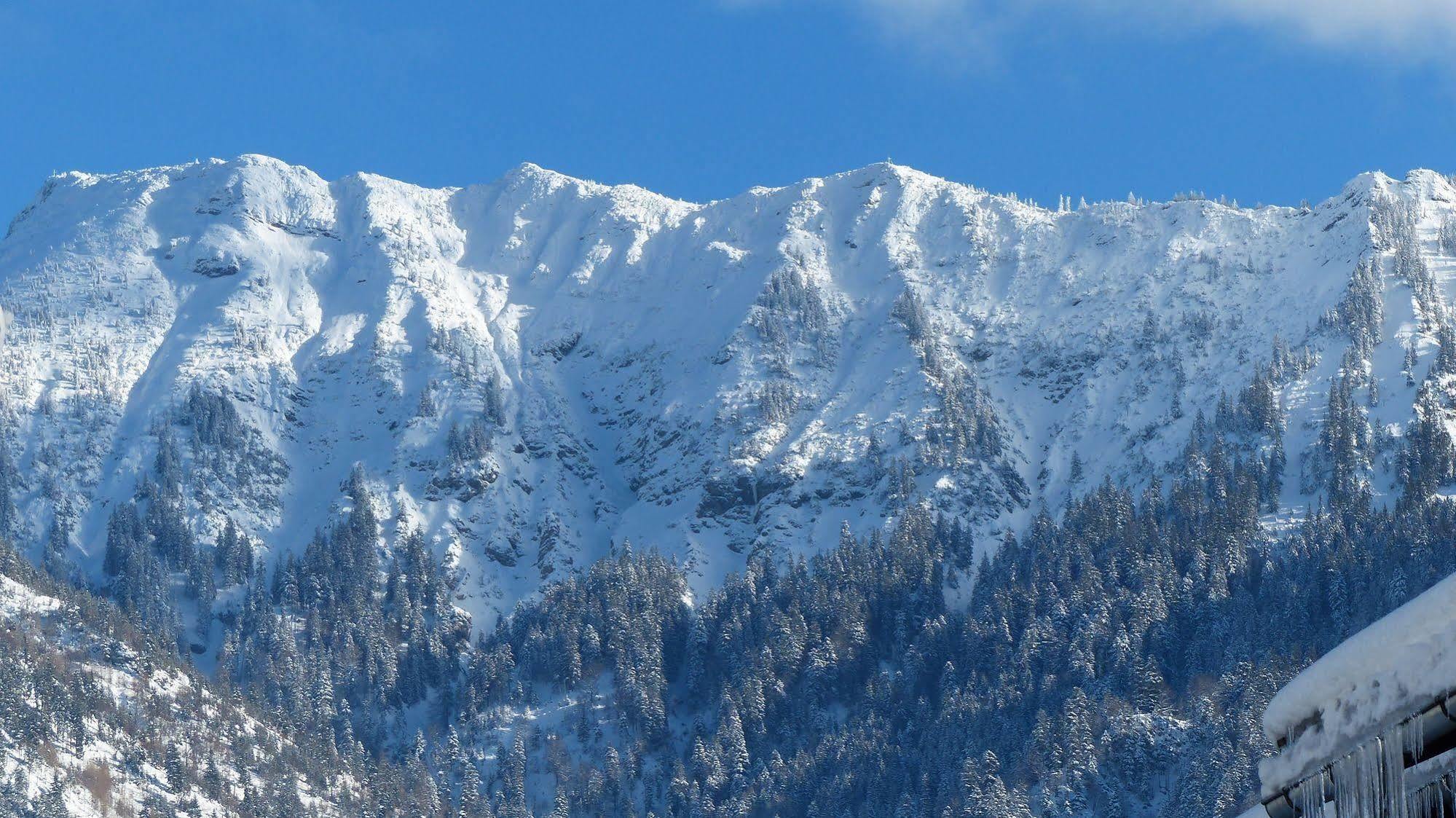 Hotel Restaurant Amadeus - Inclusive Skipass Und Vieles Mehr บาดฮินเดลัง ภายนอก รูปภาพ