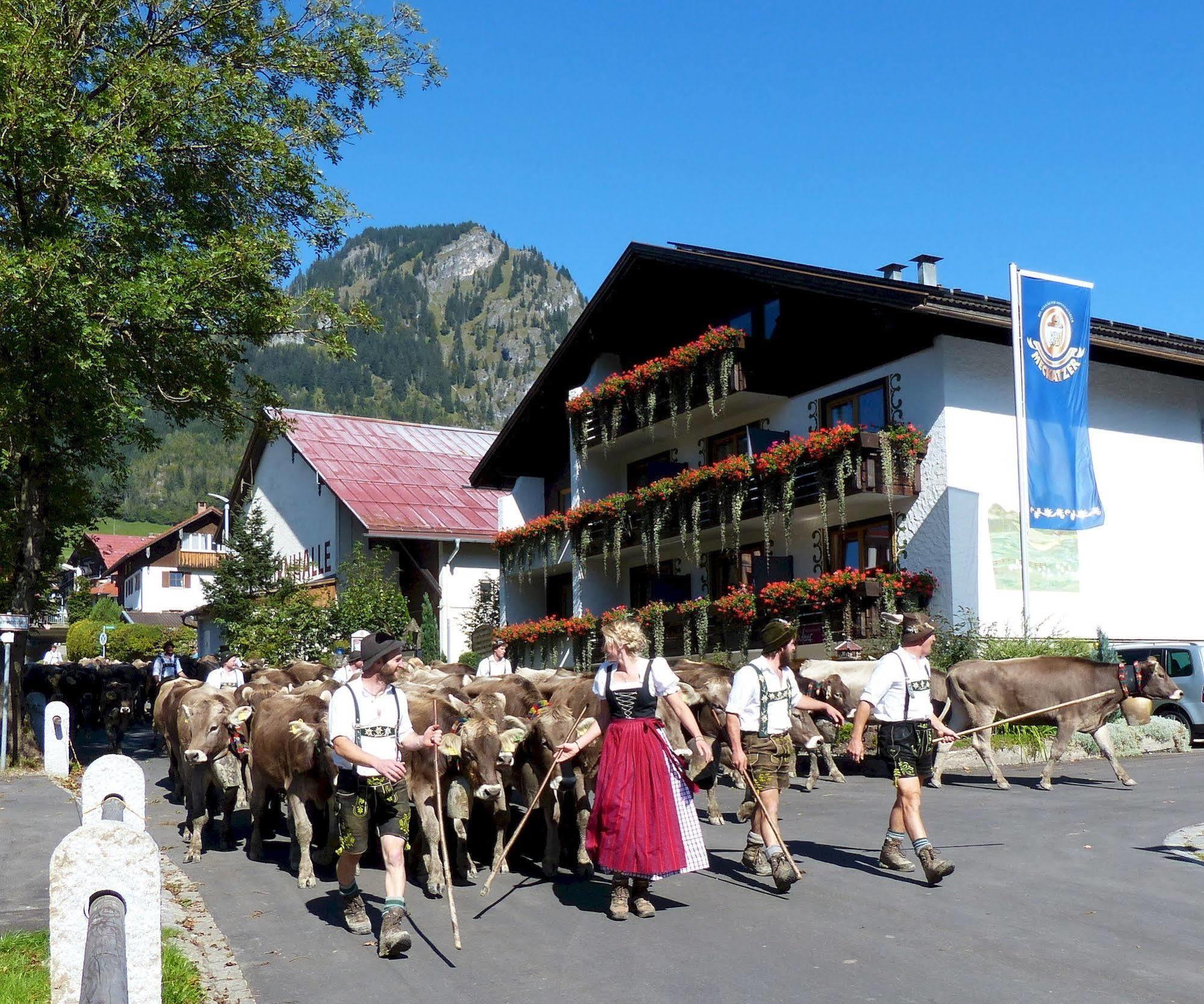 Hotel Restaurant Amadeus - Inclusive Skipass Und Vieles Mehr บาดฮินเดลัง ภายนอก รูปภาพ